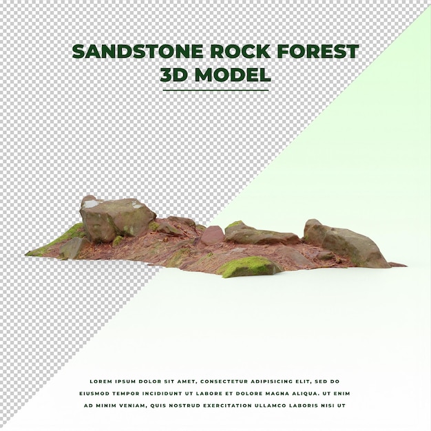 PSD sandstone rock forest