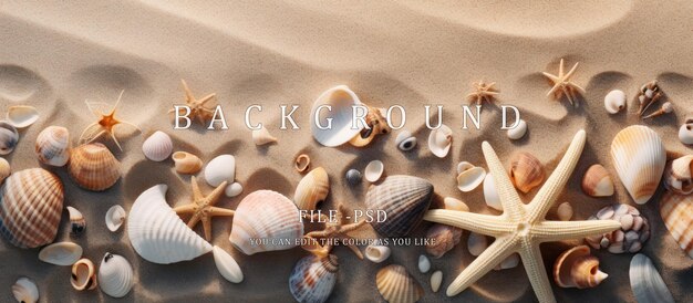 Sandy beach with shells and starfish as a natural textured background