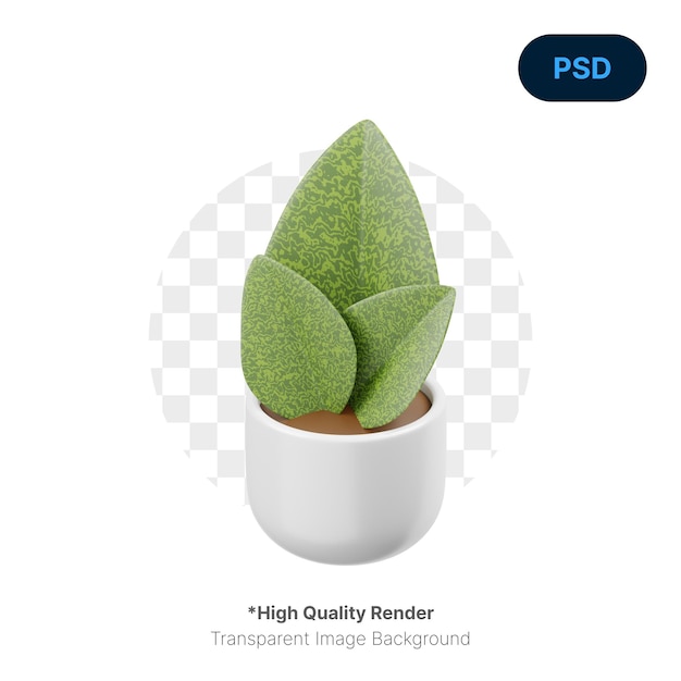 PSD sansevieria masoniana 3d icon premium psd