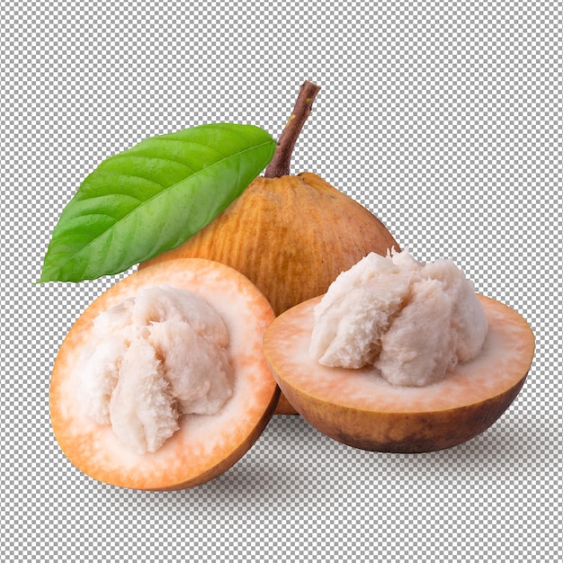 Santolvruchten en santol meliaceae geïsoleerd op alfa-achtergrond