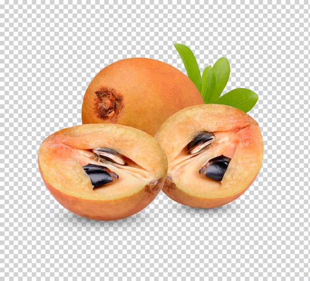 Sapodilla with leaves isolated Premium PSD