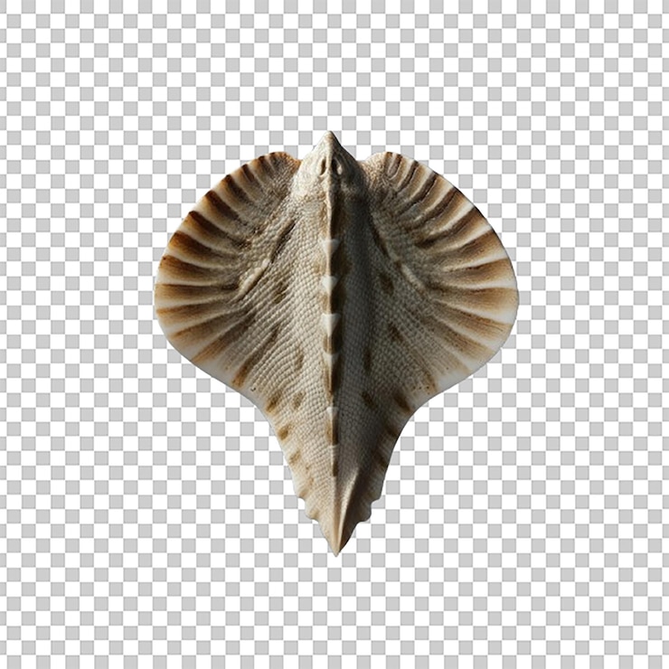 PSD scale png isolated on transparent background ideal for health and fitness design projects