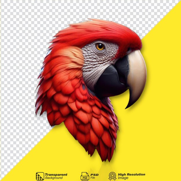 Scarlet macaw bird isolated on transparent background