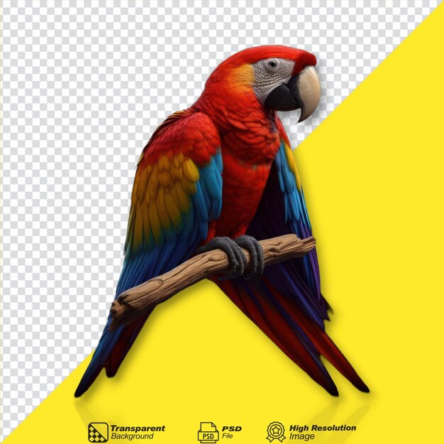 PSD scarlet macaw bird isolated on transparent background