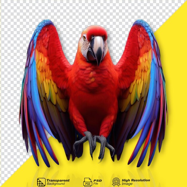 Scarlet macaw bird isolated on transparent background