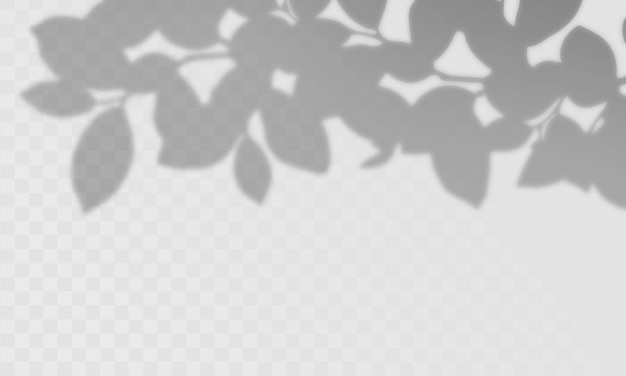 Schaduw-overlay-effect lichte overlay