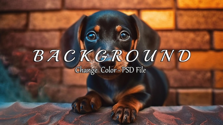 PSD schattig dachshund puppy portret