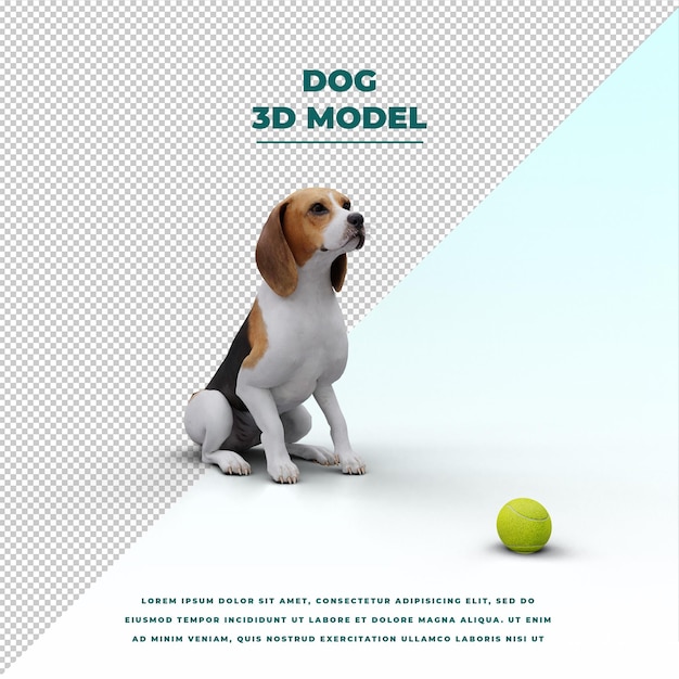 schattige hond met groen balspeelgoed