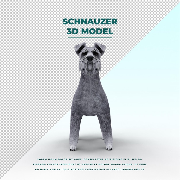 Schnauzer geïsoleerde hond poses