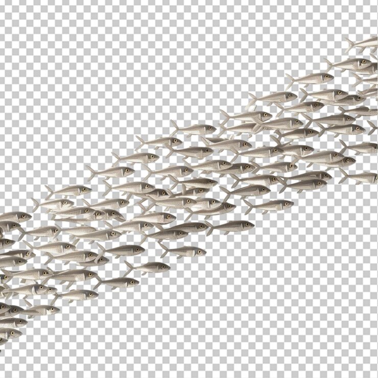 PSD school of small fish isolated on transparent background