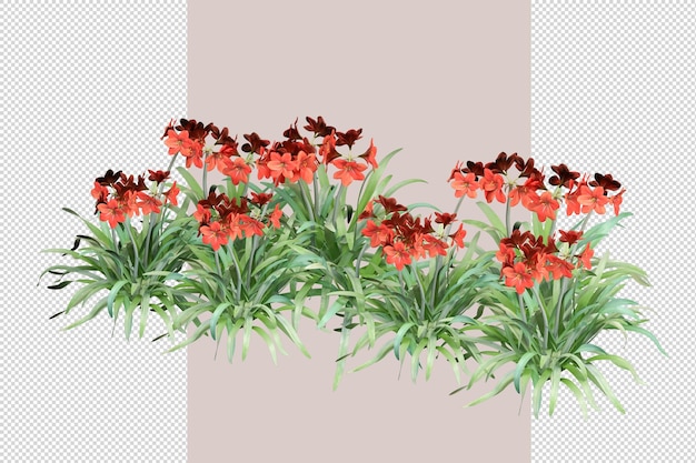 Schoonheid bloemen in 3d-rendering geïsoleerd