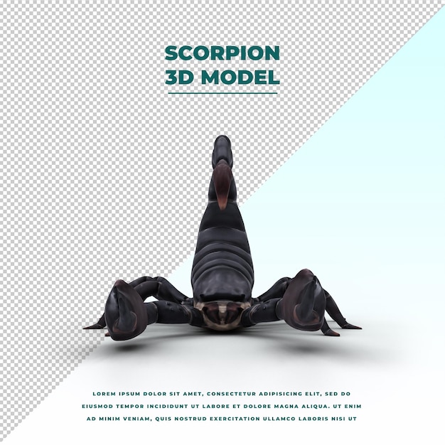 PSD scorpion isolated
