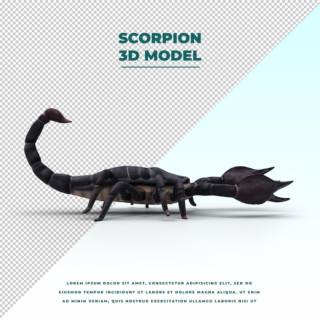 PSD scorpion isolated