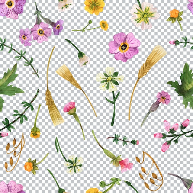 Scottish flowers seamless pattern. watercolor floral textile decor