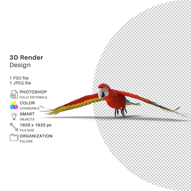 PSD屏幕上的三维图像的金刚鹦鹉