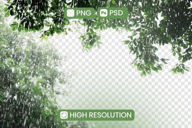 a screen with a tree in the background and a picture of a tree with a text  p2