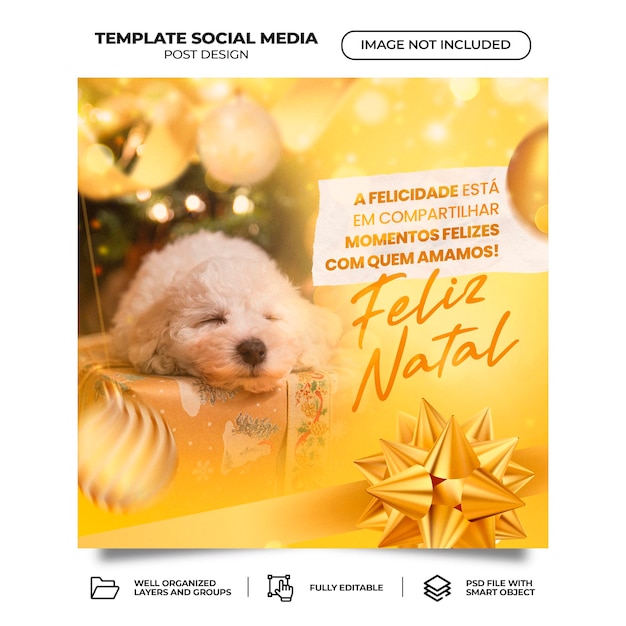 Sd feed vrolijke kerst in het portugees 3d rendering voor marketing in brazilië sjabloon ontwerp