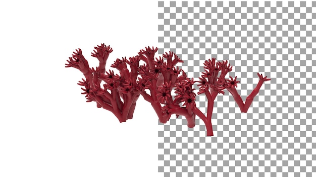 PSD sea anemone without shadow 3d render