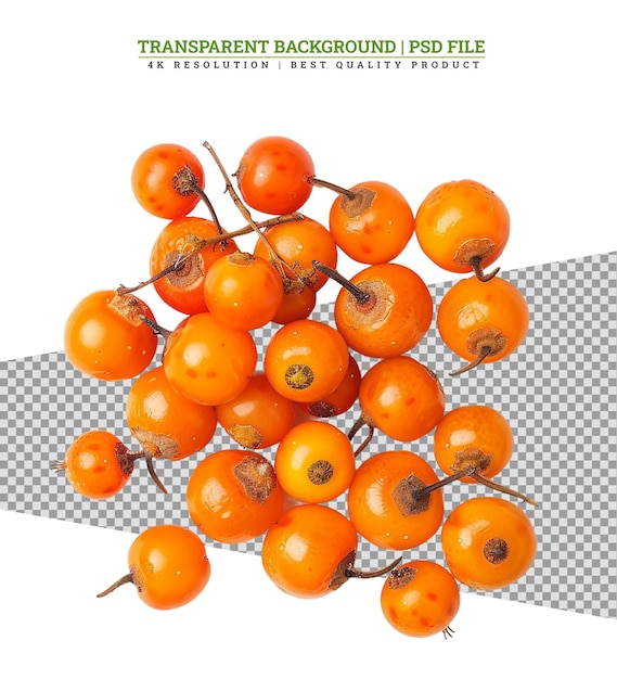 PSD sea buckthorn berries branch with leaves isolated on white background