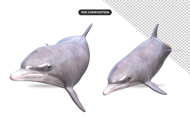 sea dolphin 3d model rendering