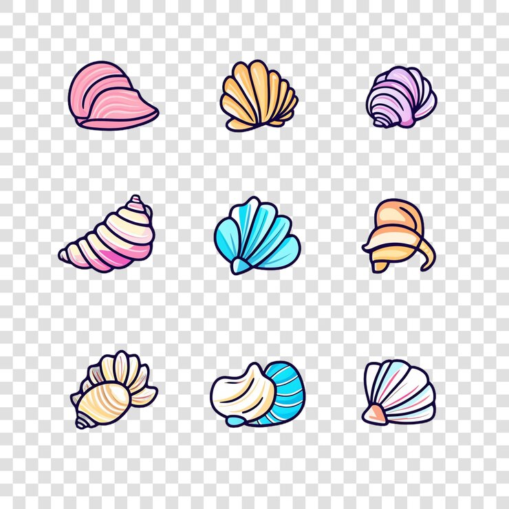 PSD sea shells isolated on a transparent background