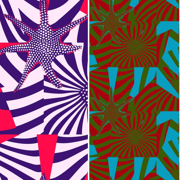 PSD sea star with star shaped silhouette geometric minimal graph nature pattern vector designs