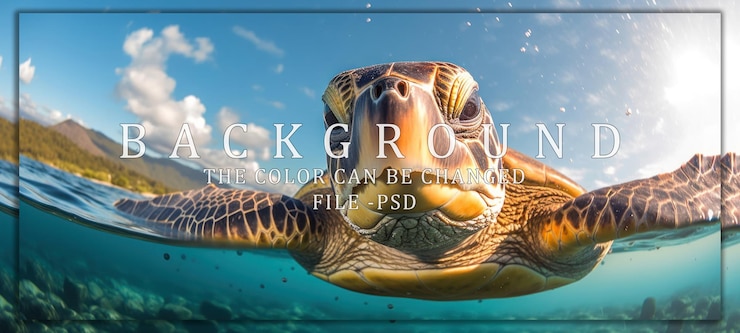 PSD sea turtle closeup under the sunny sky