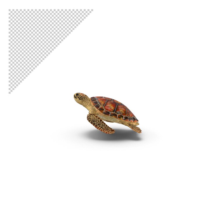 PSD sea turtle png