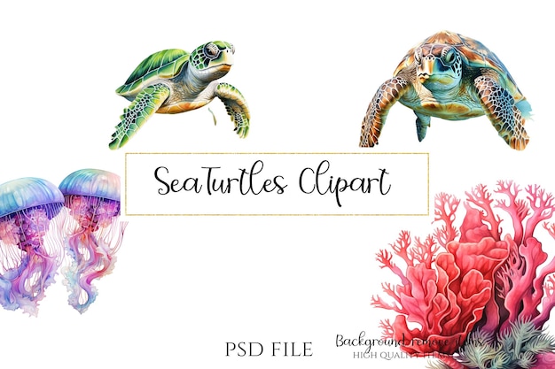 PSD illustrazione delle tartarughe marine clipart png