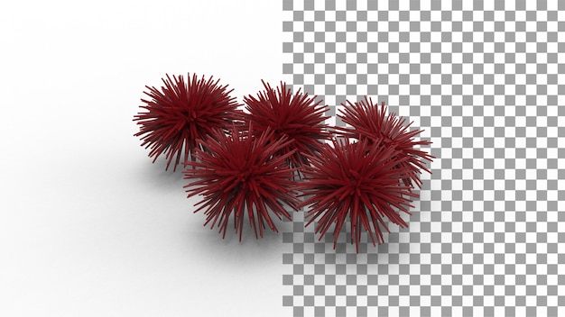 PSD sea urchin with shadow 3d render