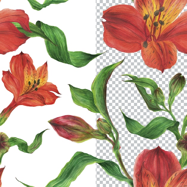 PSD seamless pattern of red alstroemeria flowers. romantic composition for weddings and valentines day. floral watercolor illustration for textiles, greetings and invitations