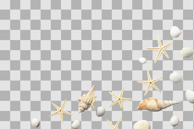 Seashells and starfish arranged beautifully evoking summer vibes isolated on white PNG