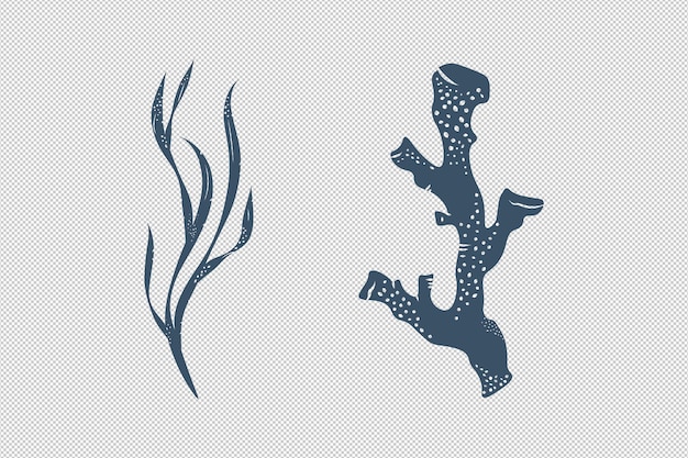 PSD seaweed and corals in monochrome isolated drawn elements