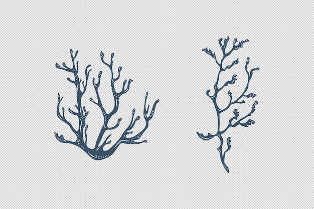 PSD seaweed and corals in monochrome isolated elements