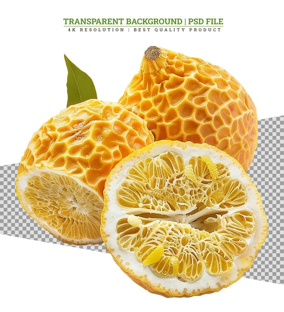 PSD section of a tangerine fruit