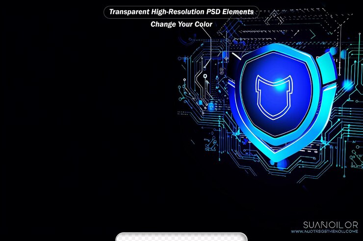 PSD security concept shield protection key