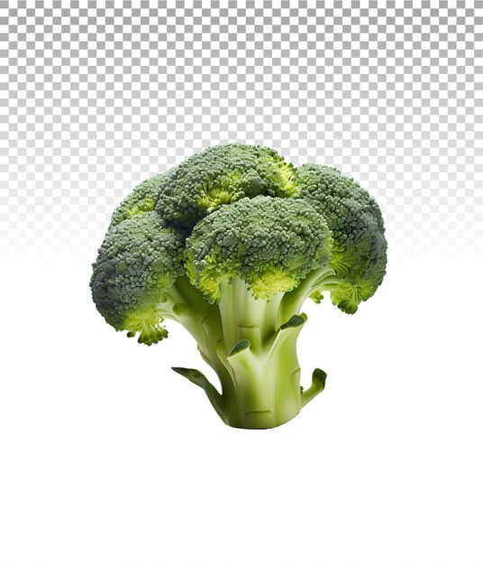 PSD see through broccoli on transparent ground
