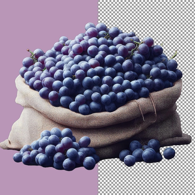 Seedless_grape_abundancepng