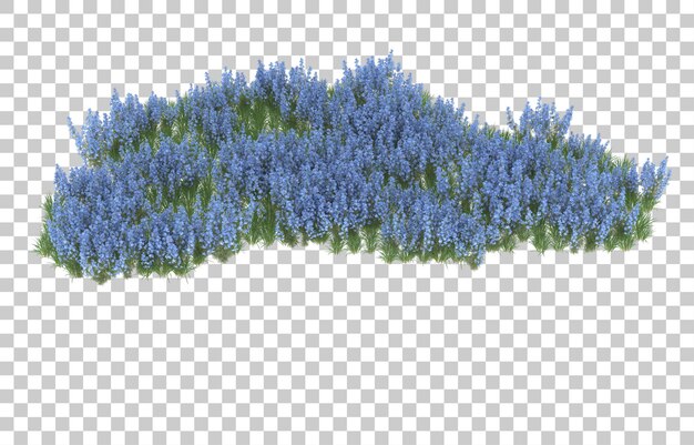 Şeffaf arka planda çiçek tarlası. 3D render - illüstrasyon