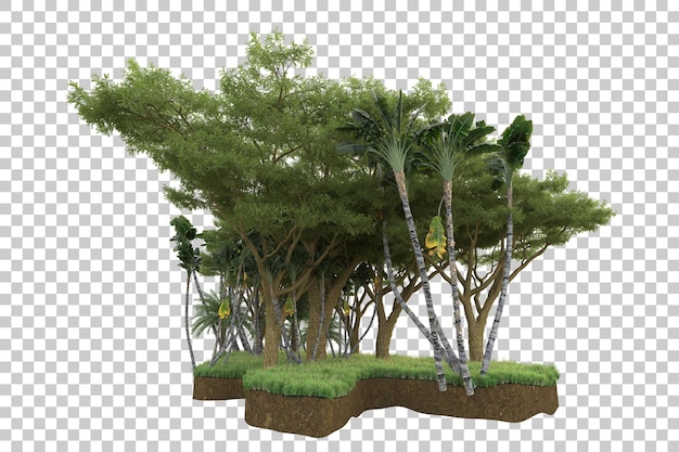 Şeffaf arka planda izole edilmiş tropikal orman 3D render illüstrasyonu