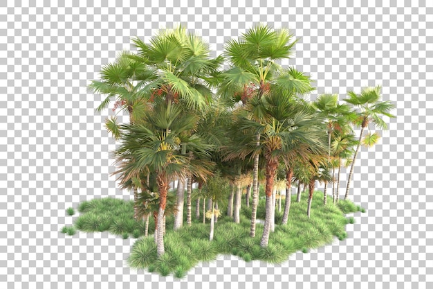 Şeffaf arka planda izole edilmiş yaprak adası 3D render illüstrasyonu