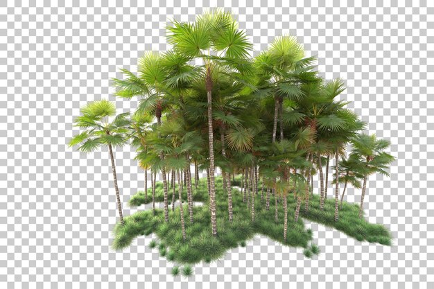 Şeffaf arka planda izole edilmiş yaprak adası 3D render illüstrasyonu