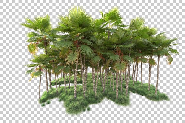 Şeffaf arka planda izole edilmiş yaprak adası 3D render illüstrasyonu
