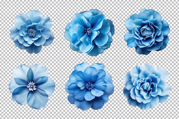 PSD selection of various blue flowers isolated on transparent background