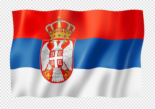 Serbska flaga odizolowana na białym sztandarze