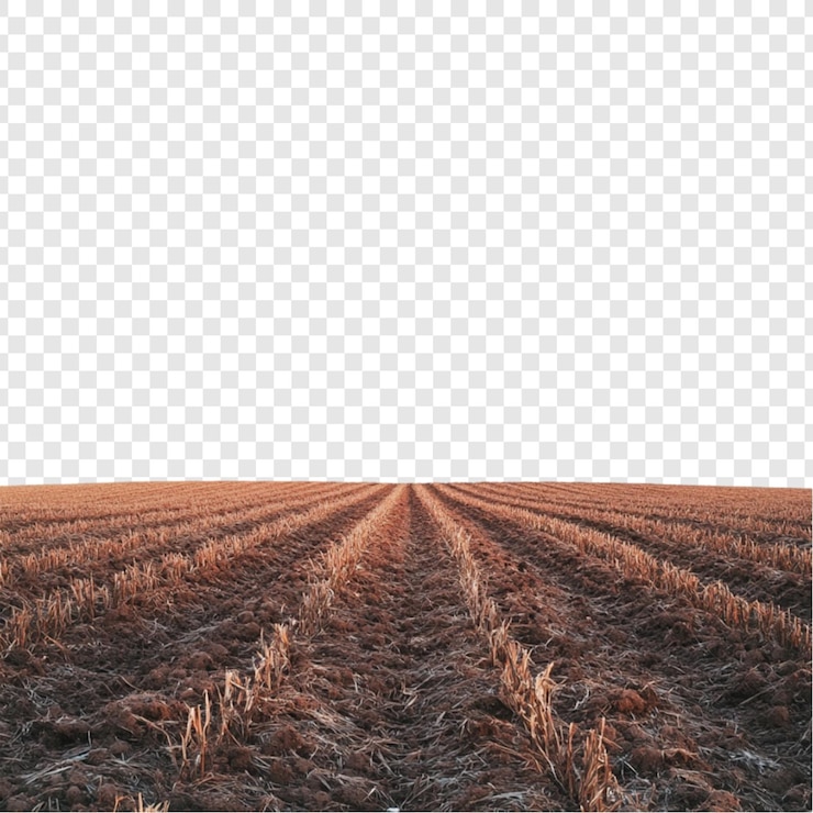 PSD serene brown field plowed earth sunset landscape tranquility nature peace