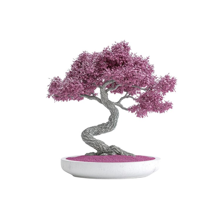 PSD serene pink bonsai tree in elegant white pot 3d render