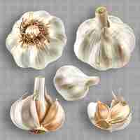 PSD a series of images of garlic and garlic