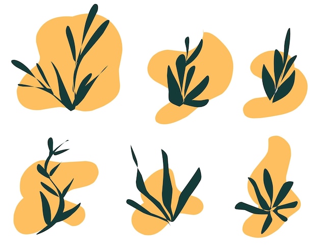 a series of images of plants with yellow and orange background