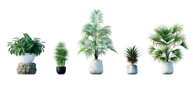 set of beautiful plant pot for illustration with transparent background
